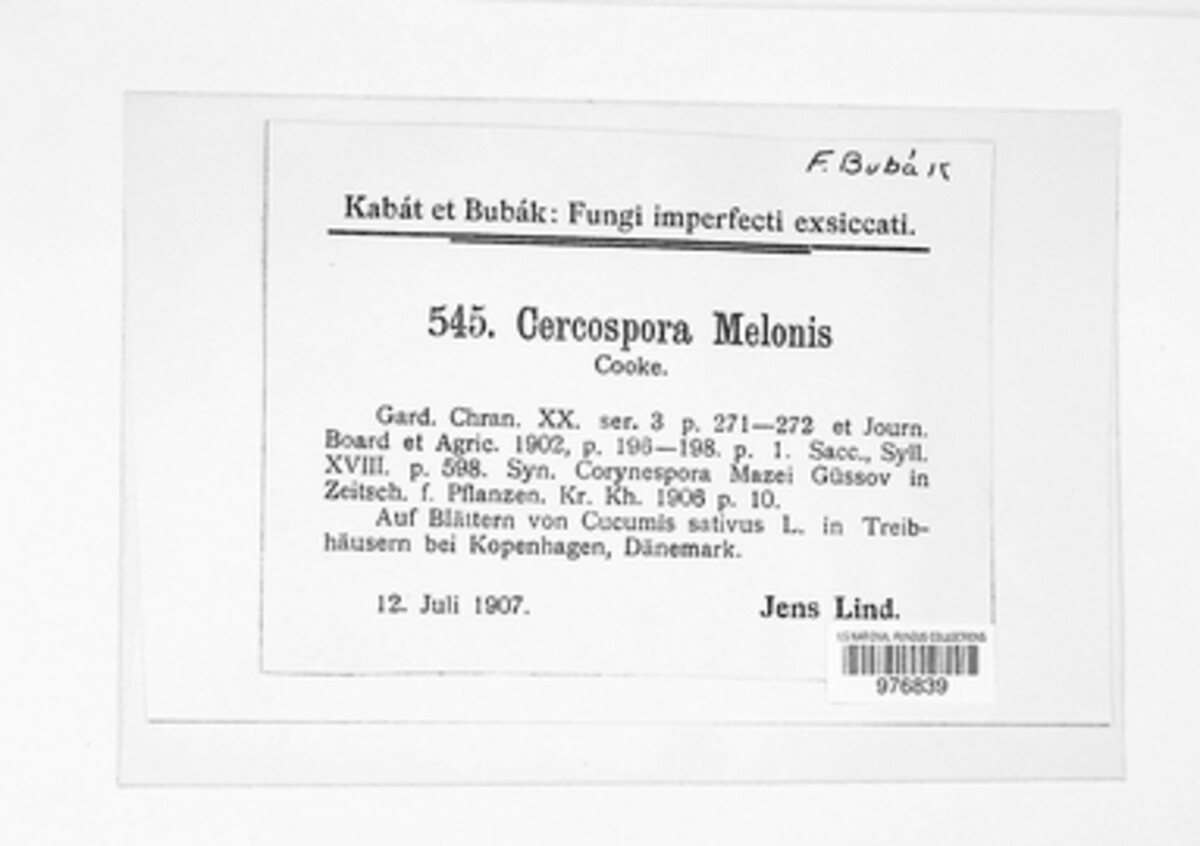 Corynespora cassiicola image